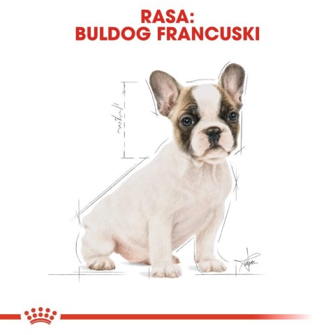 ROYAL CANIN French Bulldog Puppy 3kg Royal Canin ROYAL CANIN French Bulldog Puppy 3kg Royal Canin