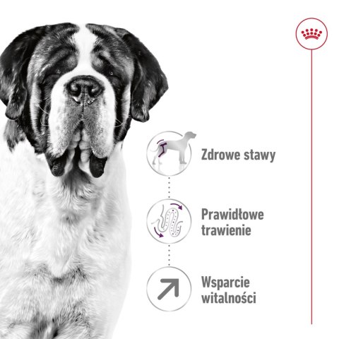 ROYAL CANIN Giant Adult 15kg Royal Canin ROYAL CANIN Giant Adult 15kg Royal Canin