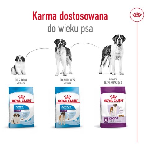 ROYAL CANIN Giant Adult 15kg Royal Canin ROYAL CANIN Giant Adult 15kg Royal Canin