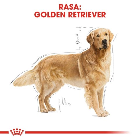 ROYAL CANIN Golden Retriever Adult 12kg Royal Canin ROYAL CANIN Golden Retriever Adult 12kg Royal Canin