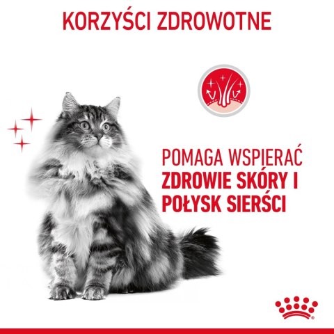 ROYAL CANIN Hair And Skin Care 4kg Royal Canin ROYAL CANIN Hair And Skin Care 4kg Royal Canin