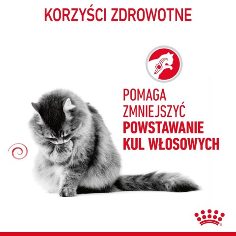 ROYAL CANIN Hairball Care 10kg Royal Canin ROYAL CANIN Hairball Care 10kg Royal Canin
