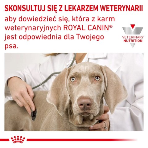 ROYAL CANIN Hypoallergenic Small Dog 3,5kg Royal Canin weterynaria ROYAL CANIN Hypoallergenic Small Dog 3,5kg Royal Canin weterynaria