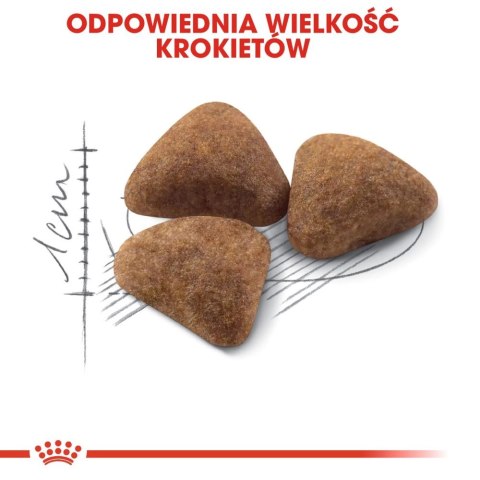ROYAL CANIN Indoor 27 10kg Royal Canin ROYAL CANIN Indoor 27 10kg Royal Canin