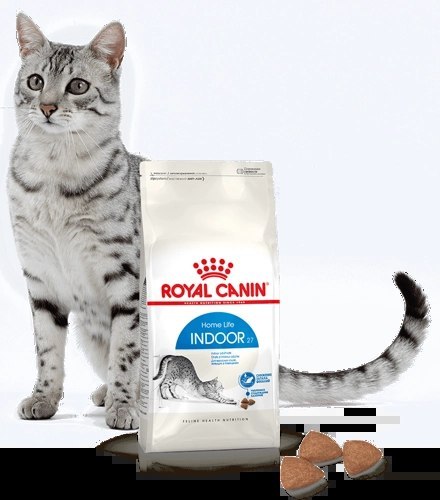 ROYAL CANIN Indoor 27 4kg Royal Canin ROYAL CANIN Indoor 27 4kg Royal Canin