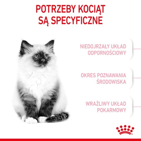 ROYAL CANIN Kitten 10kg Royal Canin ROYAL CANIN Kitten 10kg Royal Canin