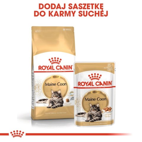 ROYAL CANIN Maine Coon Adult 400g Royal Canin ROYAL CANIN Maine Coon Adult 400g Royal Canin