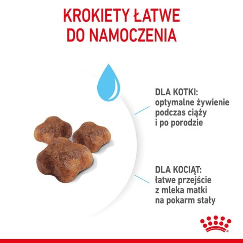 ROYAL CANIN Mother & Baby Cat 400g Royal Canin ROYAL CANIN Mother & Baby Cat 400g Royal Canin