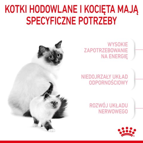 ROYAL CANIN Mother & Babycat 4kg Royal Canin ROYAL CANIN Mother & Babycat 4kg Royal Canin