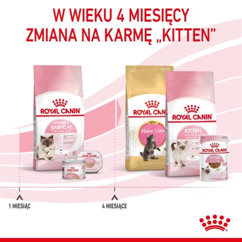ROYAL CANIN Mother & Babycat 4kg Royal Canin ROYAL CANIN Mother & Babycat 4kg Royal Canin