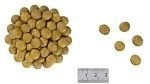 ROYAL CANIN Renal Feline 2kg Royal Canin weterynaria ROYAL CANIN Renal Feline 2kg Royal Canin weterynaria