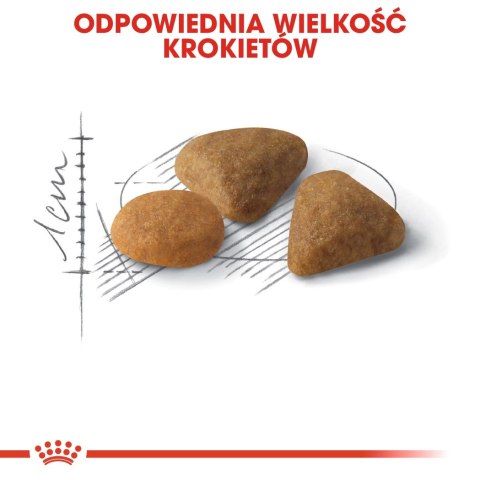ROYAL CANIN Savour Exigent 10kg Royal Canin ROYAL CANIN Savour Exigent 10kg Royal Canin