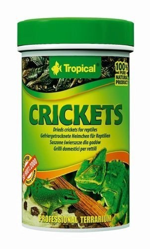 Tropical Crickets 100ml Tropical