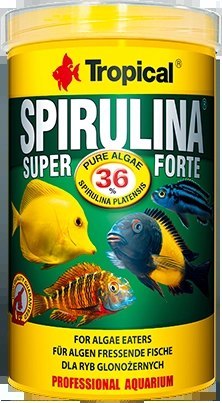Tropical Super Spirulina Forte 1000ml Tropical