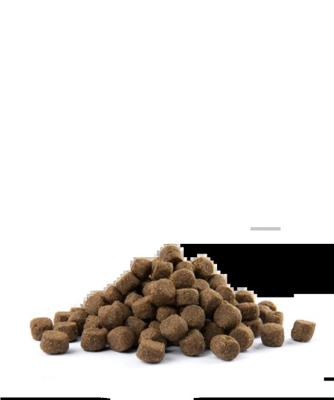 Versele-Laga Opti Life Adult Digestion Medium&Maxi Jagnięcina Z Ryżem 12,5kg Versele-Laga Versele-Laga Opti Life Adult Digestion Medium&Maxi Jagnięcina Z Ryżem 12,5kg Versele-Laga