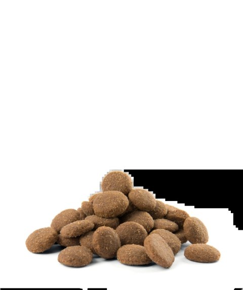 Versele-Laga Opti Life Adult Maxi Kurczak Z Ryżem 12,5kg Versele-Laga Versele-Laga Opti Life Adult Maxi Kurczak Z Ryżem 12,5kg Versele-Laga