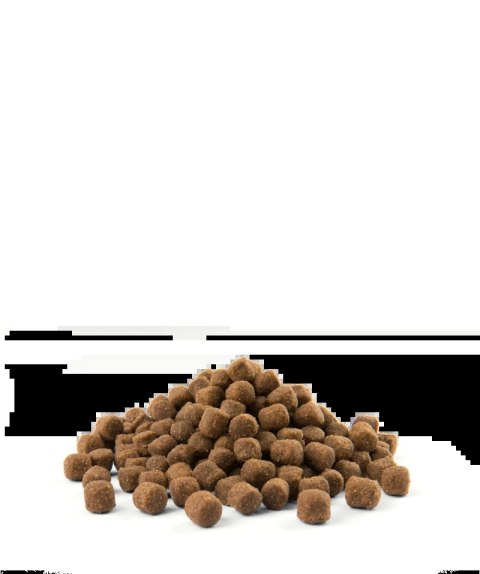 Versele-Laga Opti Life Adult Mini Kurczak Z Ryżem Dla Małych Ras 7,5kg Versele-Laga Versele-Laga Opti Life Adult Mini Kurczak Z Ryżem Dla Małych Ras 7,5kg Versele-Laga