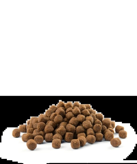 Versele-Laga Opti Life Puppy Sensitive Łosoś Z Ryżem 12,5kg Versele-Laga Versele-Laga Opti Life Puppy Sensitive Łosoś Z Ryżem 12,5kg Versele-Laga