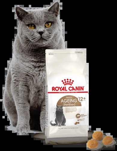 ROYAL CANIN Ageing Sterilised +12 4kg Royal Canin ROYAL CANIN Ageing Sterilised +12 4kg Royal Canin