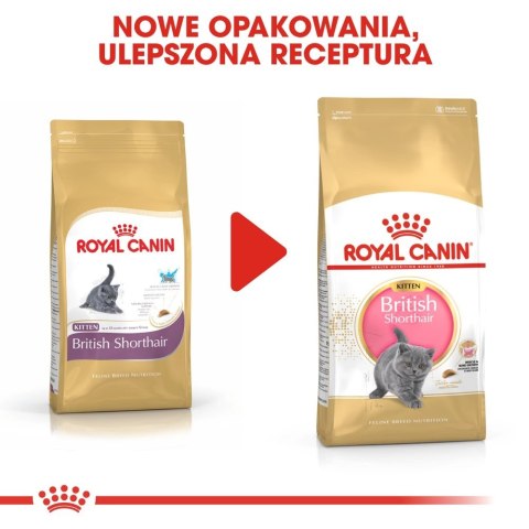 ROYAL CANIN British Shorthair Kitten 2kg Royal Canin ROYAL CANIN British Shorthair Kitten 2kg Royal Canin