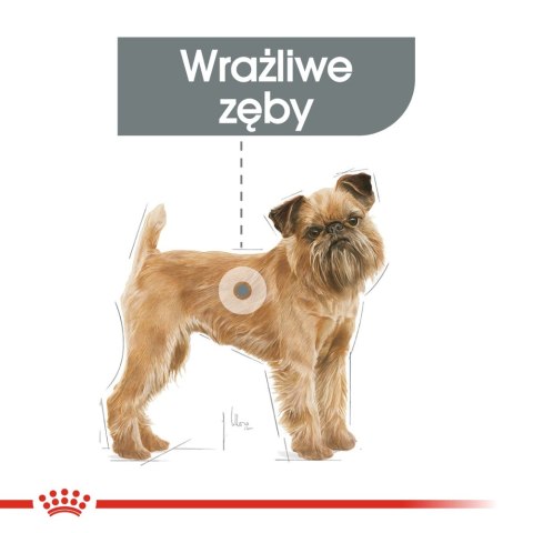 ROYAL CANIN CCN Mini Dental Care 3kg Royal Canin ROYAL CANIN CCN Mini Dental Care 3kg Royal Canin
