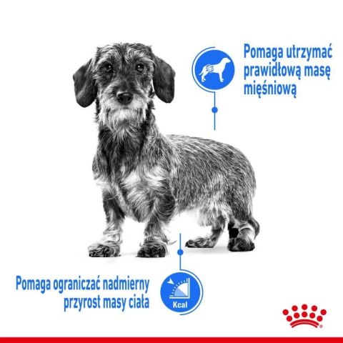 ROYAL CANIN CCN Mini Light Weight Care 3kg Royal Canin ROYAL CANIN CCN Mini Light Weight Care 3kg Royal Canin