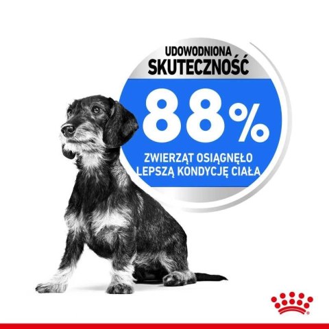 ROYAL CANIN CCN Mini Light Weight Care 3kg Royal Canin ROYAL CANIN CCN Mini Light Weight Care 3kg Royal Canin