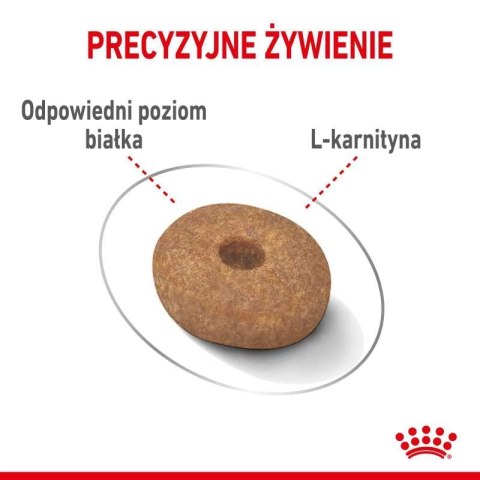 ROYAL CANIN CCN Mini Light Weight Care 3kg Royal Canin ROYAL CANIN CCN Mini Light Weight Care 3kg Royal Canin