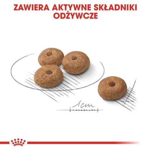 ROYAL CANIN CCN Mini Sterilised 3kg Royal Canin ROYAL CANIN CCN Mini Sterilised 3kg Royal Canin