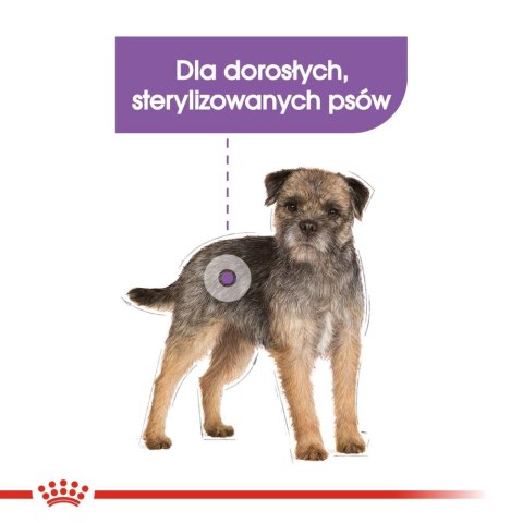 ROYAL CANIN CCN Mini Sterilised 8kg Royal Canin ROYAL CANIN CCN Mini Sterilised 8kg Royal Canin