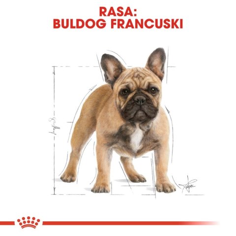 ROYAL CANIN French Bulldog Adult 1,5kg Royal Canin ROYAL CANIN French Bulldog Adult 1,5kg Royal Canin