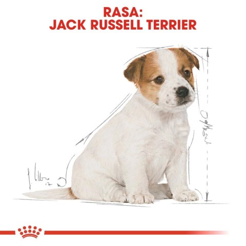 ROYAL CANIN Jack Russell Terrier Puppy 3kg Royal Canin ROYAL CANIN Jack Russell Terrier Puppy 3kg Royal Canin