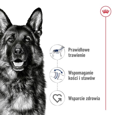 ROYAL CANIN Maxi Adult 15kg Royal Canin ROYAL CANIN Maxi Adult 15kg Royal Canin