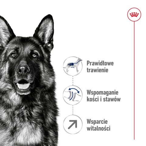 ROYAL CANIN Maxi Adult 5+ 15kg Royal Canin