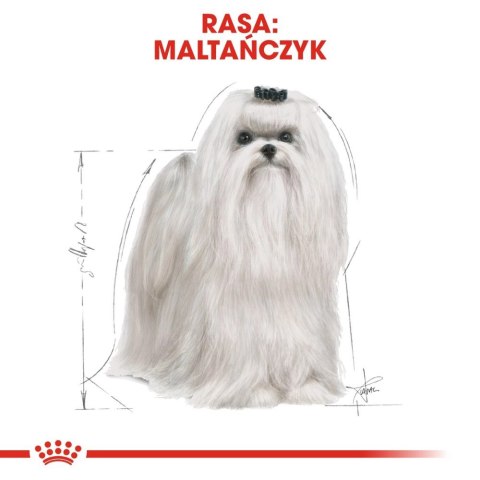 ROYAL CANIN Maltese Adult 1,5kg Royal Canin