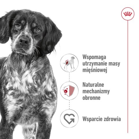 ROYAL CANIN Medium Adult 15kg Royal Canin