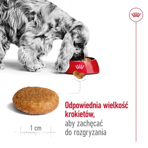 ROYAL CANIN Medium Adult 15kg Royal Canin