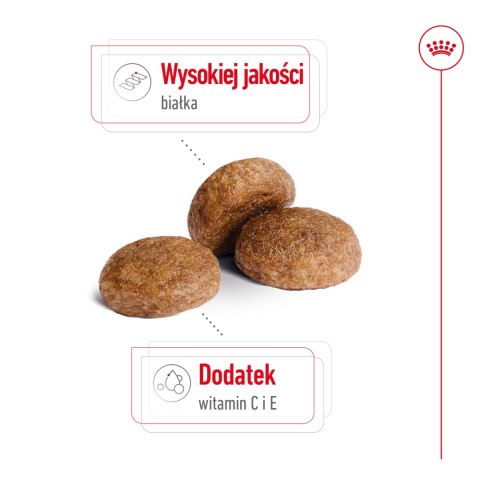 ROYAL CANIN Medium Adult 7+ 15kg Royal Canin ROYAL CANIN Medium Adult 7+ 15kg Royal Canin