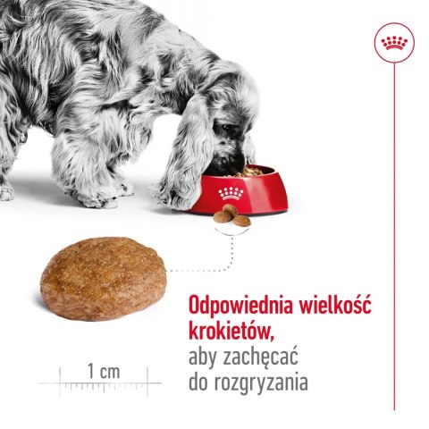 ROYAL CANIN Medium Adult 7+ 15kg Royal Canin ROYAL CANIN Medium Adult 7+ 15kg Royal Canin