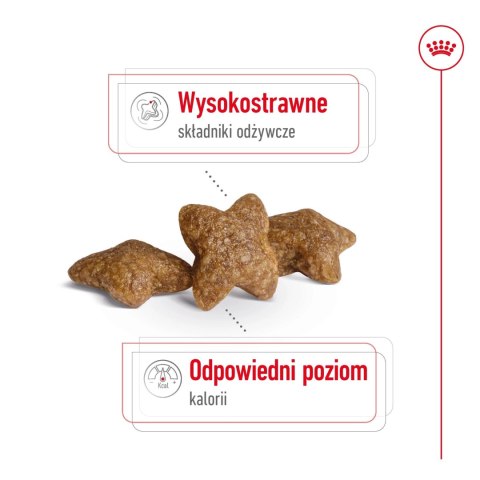 ROYAL CANIN Mini Adult 2kg Royal Canin ROYAL CANIN Mini Adult 2kg Royal Canin