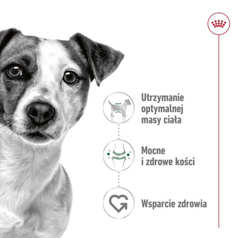 ROYAL CANIN Mini Adult 4kg Royal Canin ROYAL CANIN Mini Adult 4kg Royal Canin