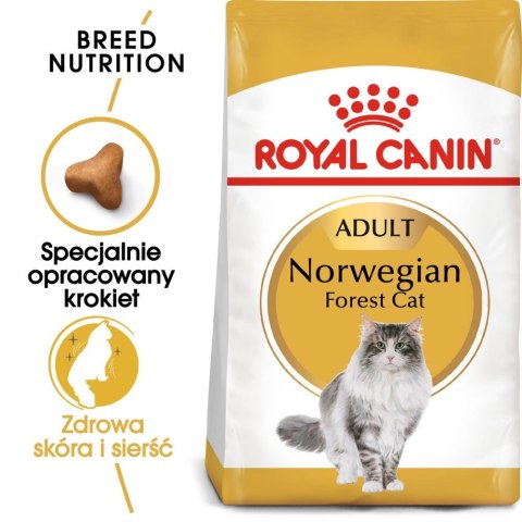 ROYAL CANIN Norwegian Forest Cat Adult 2kg Royal Canin ROYAL CANIN Norwegian Forest Cat Adult 2kg Royal Canin