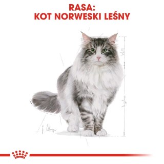 ROYAL CANIN Norwegian Forest Cat Adult 2kg Royal Canin