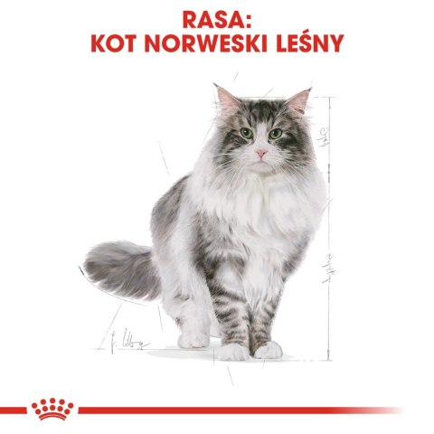 ROYAL CANIN Norwegian Forest Cat Adult 2kg Royal Canin ROYAL CANIN Norwegian Forest Cat Adult 2kg Royal Canin