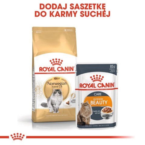ROYAL CANIN Norwegian Forest Cat Adult 2kg Royal Canin ROYAL CANIN Norwegian Forest Cat Adult 2kg Royal Canin