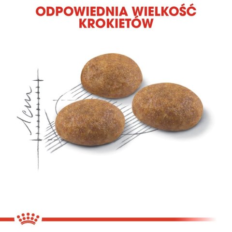 ROYAL CANIN Outdoor 4kg Royal Canin ROYAL CANIN Outdoor 4kg Royal Canin