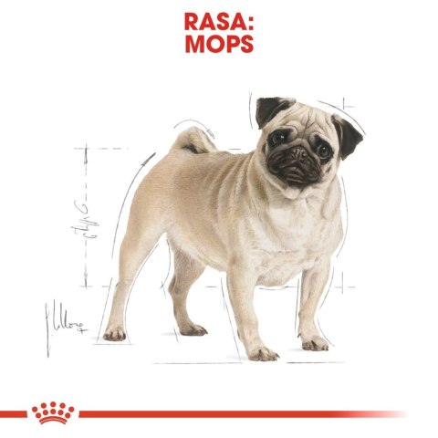 ROYAL CANIN Pug Adult 1,5kg Royal Canin ROYAL CANIN Pug Adult 1,5kg Royal Canin