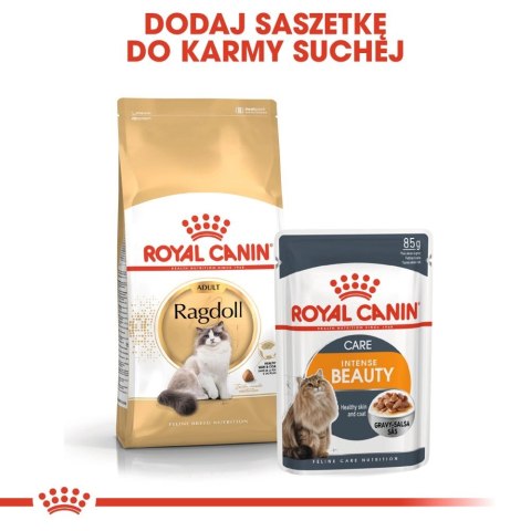 ROYAL CANIN Ragdoll Adult 10kg Royal Canin ROYAL CANIN Ragdoll Adult 10kg Royal Canin