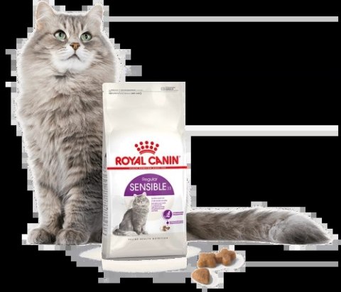 ROYAL CANIN Sensible 33 2kg Royal Canin ROYAL CANIN Sensible 33 2kg Royal Canin