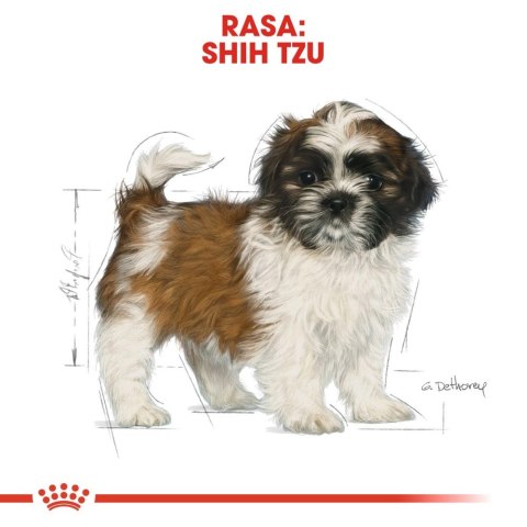 ROYAL CANIN Shih Tzu Puppy 1,5kg Royal Canin ROYAL CANIN Shih Tzu Puppy 1,5kg Royal Canin